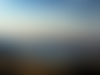 Environmental Identity