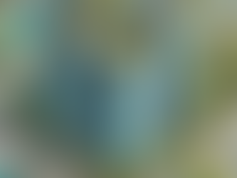 Sustainable Architecture: Keys, Aspects, and concepts