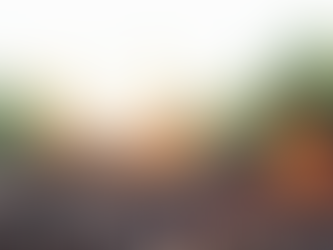 Deforestation: Impact and Potential Solutions