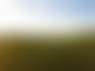 Empowering Communities Through Sustainable Agriculture