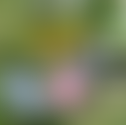 Humanity's Source of Inspiration - Partner Post!