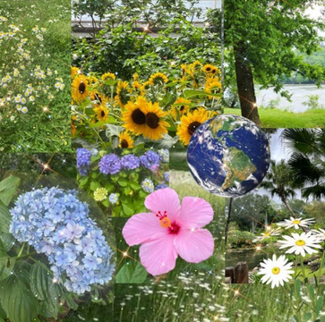 Humanity's Source of Inspiration - Partner Post!